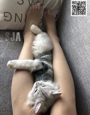 性初体验_超清日本电影免费